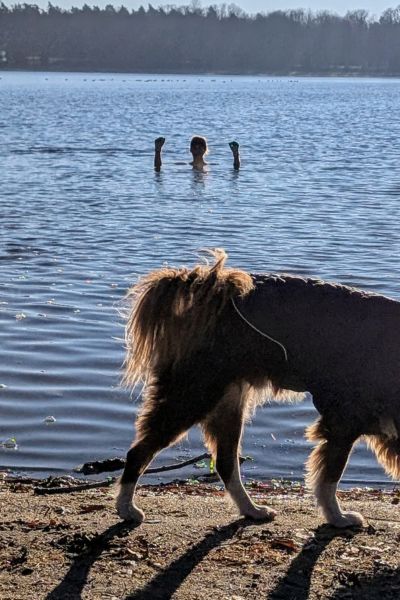 Frau beim Eisbaden, im Vordergrund ein brauner Hund