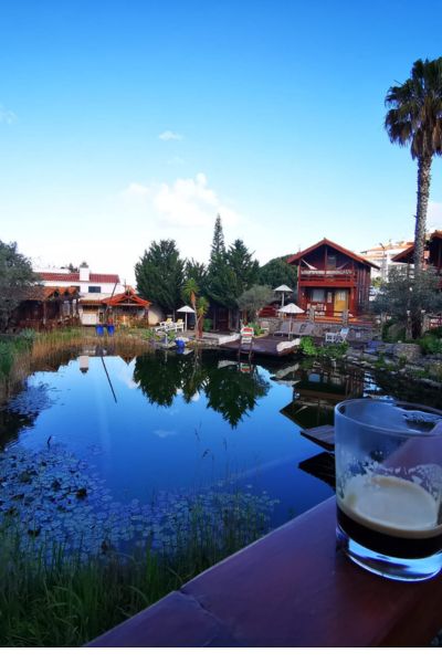 Blick auf einen Naturpool in einer Hotelanlage in Portugal, im Vordergrund ein Kaffee, im Hintergrund Palmen